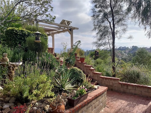 22000 Jodi Pl, Saugus, CA 91350 - view of yard