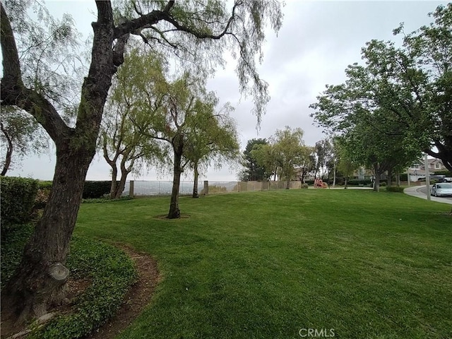 22000 Jodi Pl, Saugus, CA 91350 - view of yard