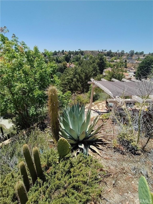 22000 Jodi Pl, Saugus, CA 91350 - view of yard