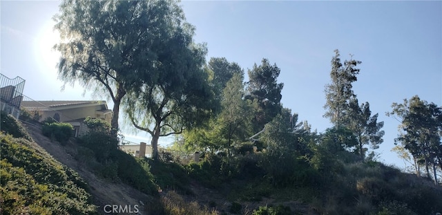 22000 Jodi Pl, Saugus, CA 91350 - view of side of property