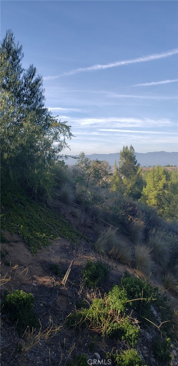 22000 Jodi Pl, Saugus, CA 91350 - view of local wilderness