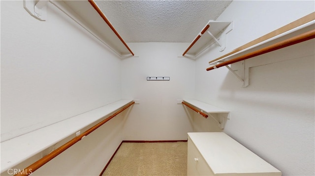 279 White Oak Rd, Lake Elsinore, CA 92530 - walk in closet featuring carpet