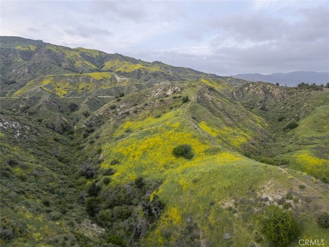 mountain view