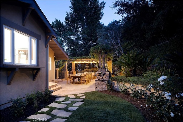 view of yard with a patio