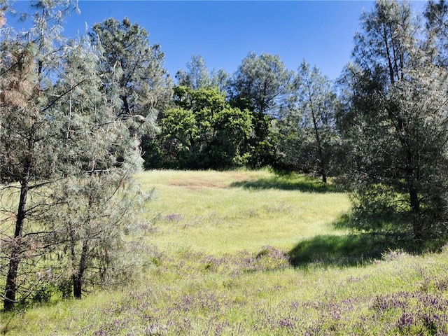 6983 Leslie Rd, Lucerne, CA 95458 - photo 8