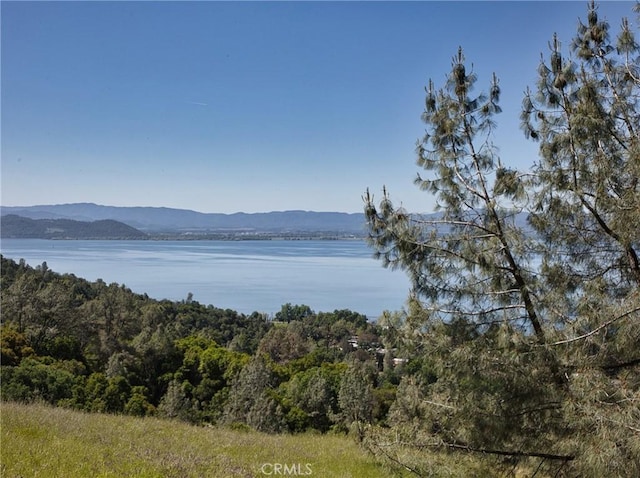 6983 Leslie Rd, Lucerne, CA 95458 - photo 1
