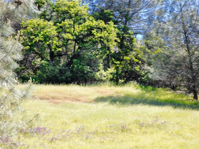 6983 Leslie Rd, Lucerne, CA 95458 - photo 6