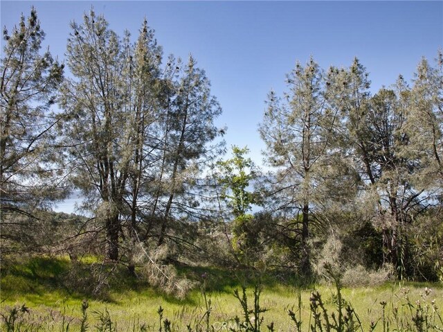 6983 Leslie Rd, Lucerne, CA 95458 - photo 7