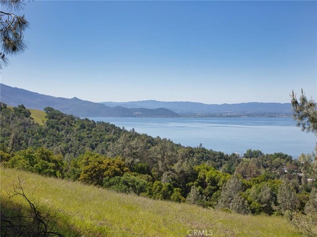 6983 Leslie Rd, Lucerne, CA 95458 - photo 9
