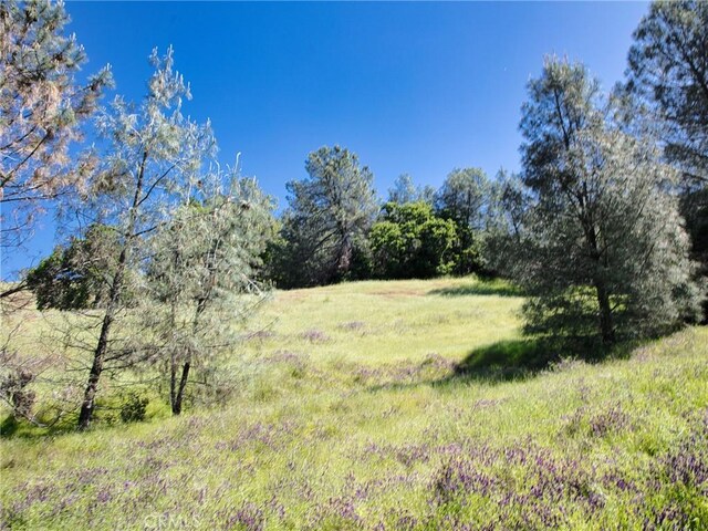 6983 Leslie Rd, Lucerne, CA 95458 - photo 3
