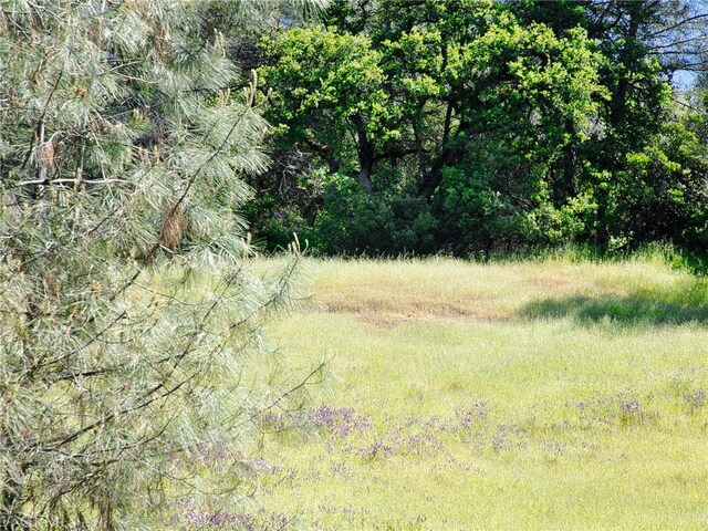 6983 Leslie Rd, Lucerne, CA 95458 - photo 5