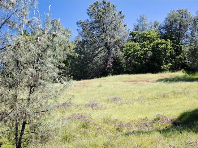 6983 Leslie Rd, Lucerne, CA 95458 - photo 2
