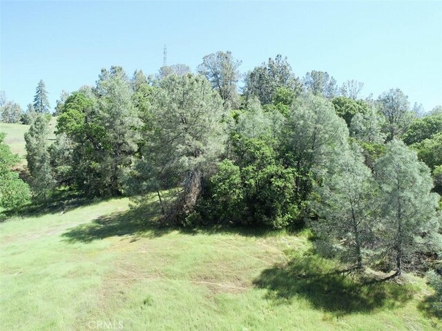 6983 Leslie Rd, Lucerne, CA 95458 - photo 10