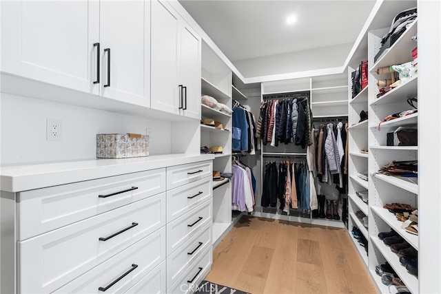 1530 Anita Ln, Newport Beach, CA 92660 - spacious closet featuring light wood-type flooring
