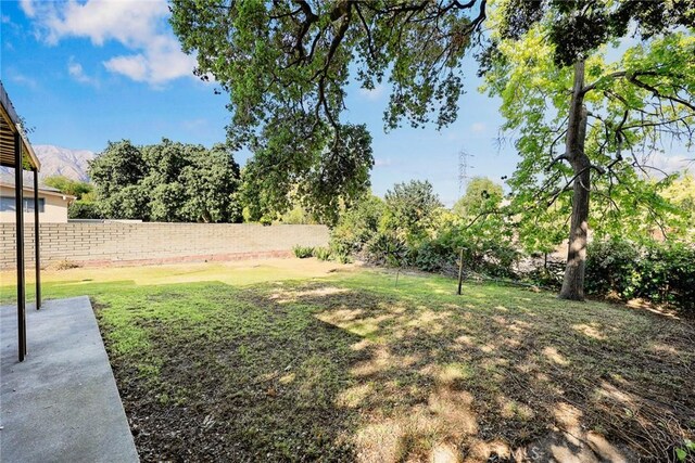 view of yard featuring a patio area