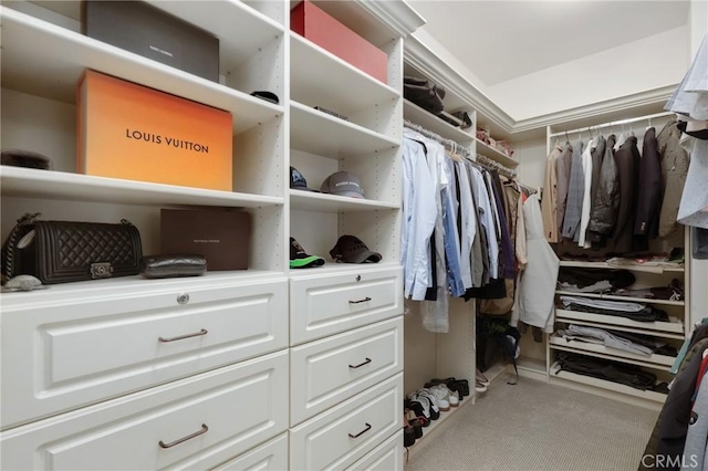 25 Tenderfoot, Irvine, CA 92602 - walk in closet featuring light colored carpet