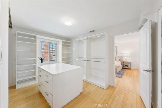 spacious closet with light wood-style floors