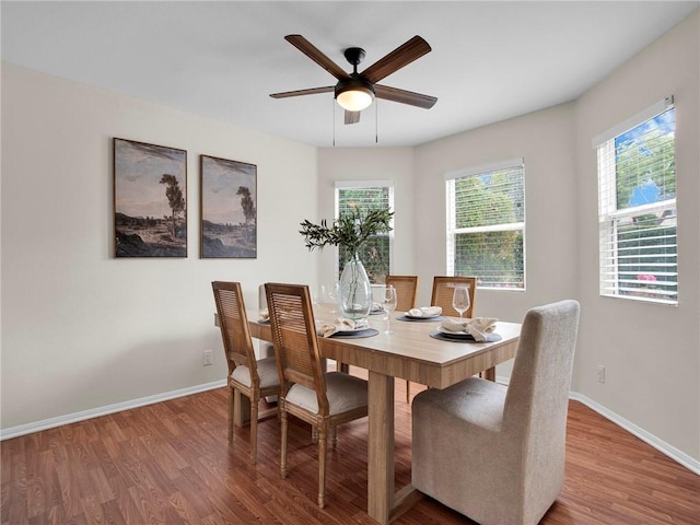 dining room with a ceiling fan, wood finished floors, healthy amount of natural light, and baseboards