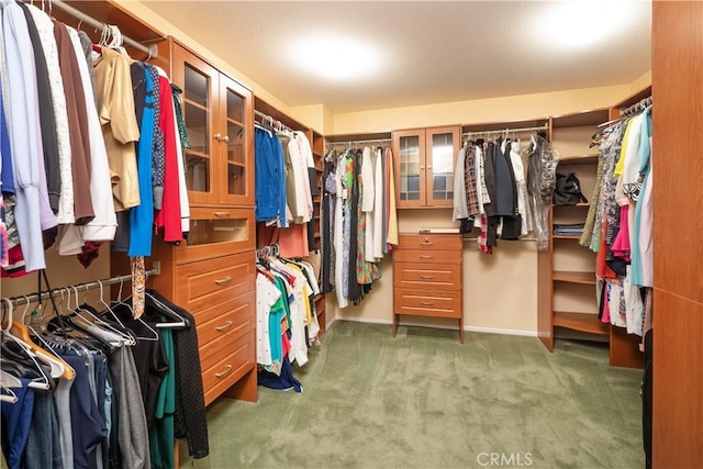 20800 Brana Rd, Riverside, CA 92508 - walk in closet with light colored carpet