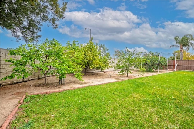20800 Brana Rd, Riverside, CA 92508 - view of fenced backyard