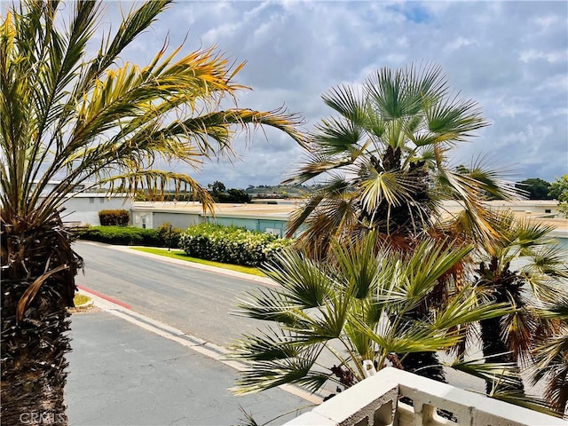 3747 Vista Campana S Unit 7, Oceanside, CA 92057 - view of road