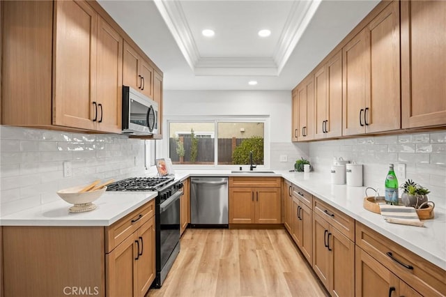 4592 Paloma Ln, Yorba Linda, CA 92886 - kitchen featuring appliances with stainless steel finishes, a tray ceiling, a sink, ornamental molding, and light wood-style floors