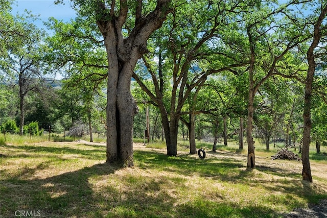12760 Center Gap Rd, Chico, CA 95928 - view of green lawn