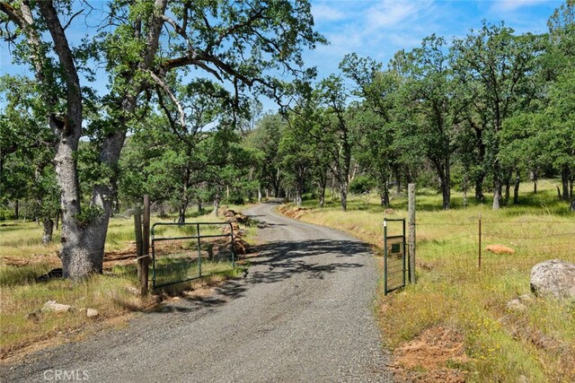 12760 Center Gap Rd, Chico, CA 95928 - photo 34