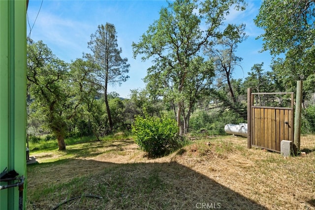 12760 Center Gap Rd, Chico, CA 95928 - view of grassy yard