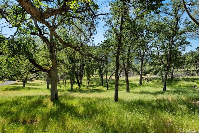 12760 Center Gap Rd, Chico, CA 95928 - view of undeveloped land