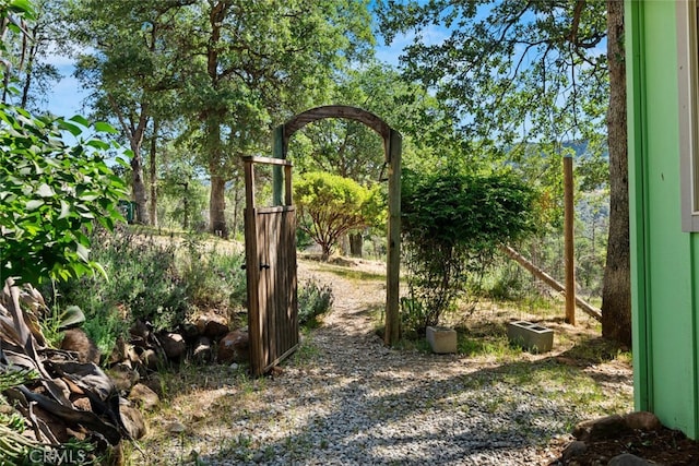 12760 Center Gap Rd, Chico, CA 95928 - view of yard