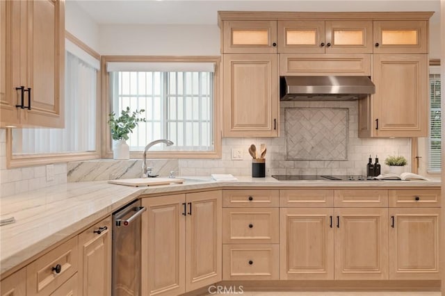kitchen featuring dishwasher, a sink, range hood, and plenty of natural light