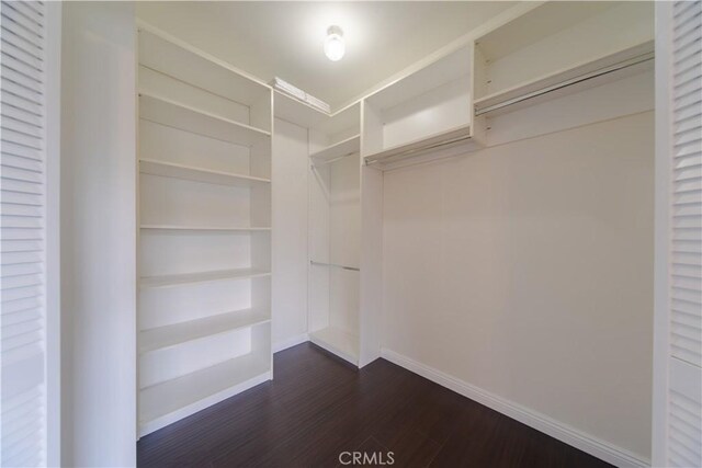 walk in closet featuring dark wood finished floors