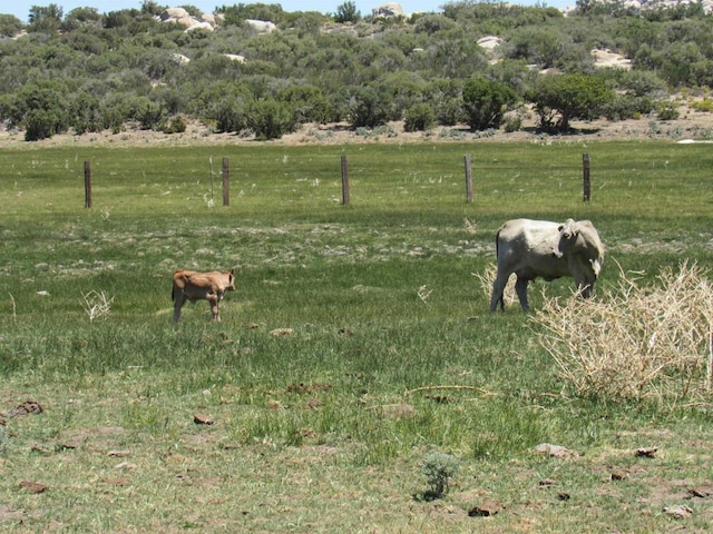 200ACRES Mccain Valley Rd, Boulevard, CA 91905