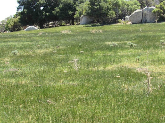 200ACRES Mccain Valley Rd, Boulevard, CA 91905