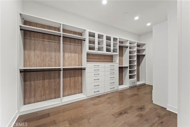 spacious closet featuring wood finished floors