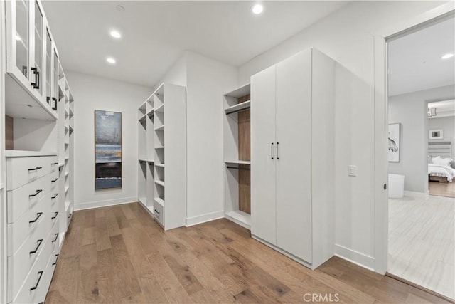 walk in closet with wood finished floors