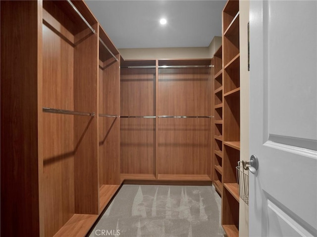 walk in closet featuring carpet