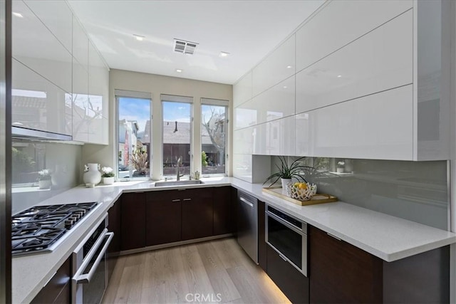 29 W Neapolitan Ln, Long Beach, CA 90803 - kitchen with modern cabinets, a sink, stainless steel appliances, dark brown cabinetry, and light wood-style floors