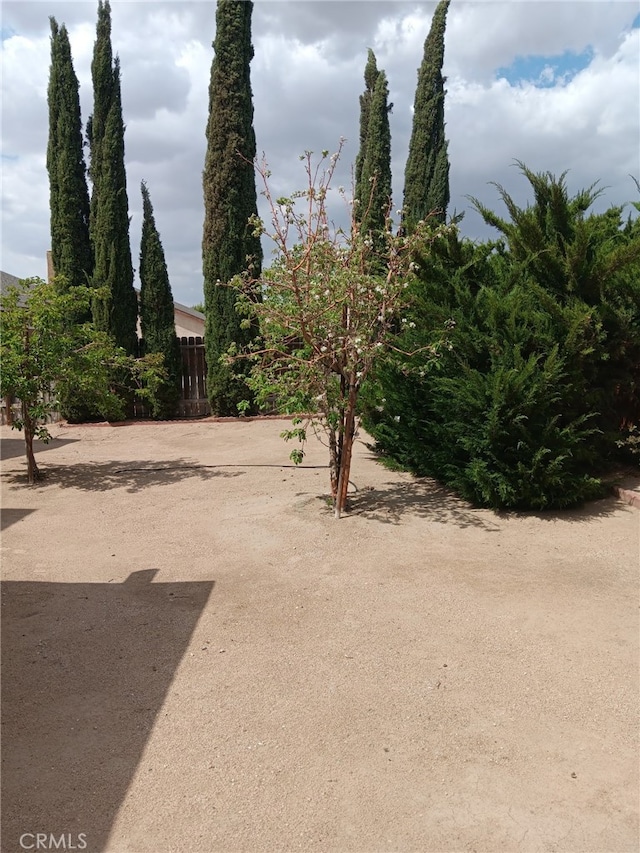 17795 Stevens Rd, Adelanto, CA 92301 - view of yard with fence