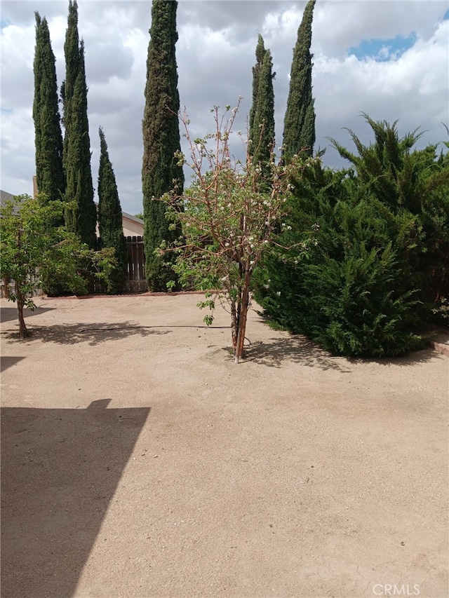 17795 Stevens Rd, Adelanto, CA 92301 - view of yard with fence