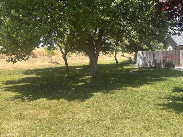 6338 Countryside Ct, Orland, CA 95963 - view of yard