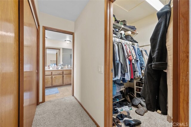 spacious closet featuring carpet