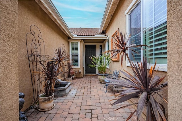 view of exterior entry with stucco siding and a patio area