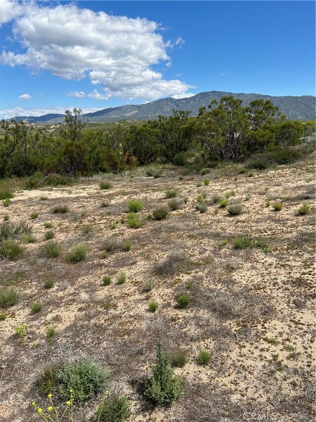 0 Scouts Ln, Anza, CA 92539 - photo 9