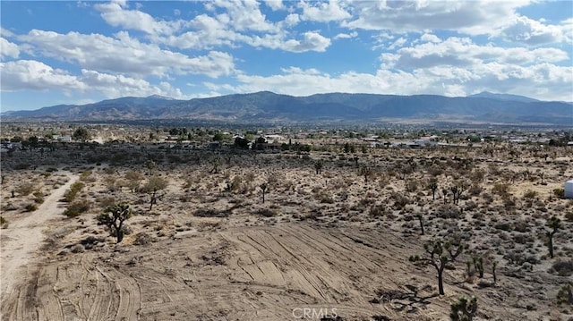 111 Sierra Rd, Pinon Hills, CA 92372 - photo 8