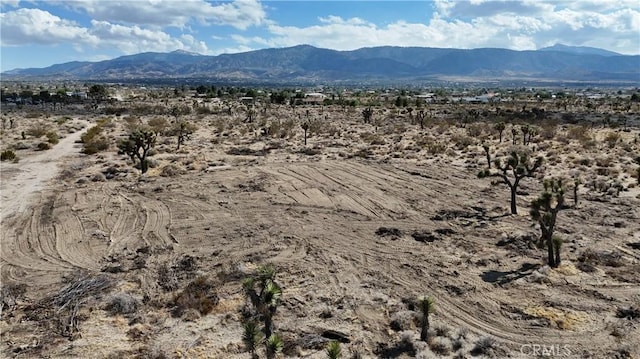 111 Sierra Rd, Pinon Hills, CA 92372 - photo 7