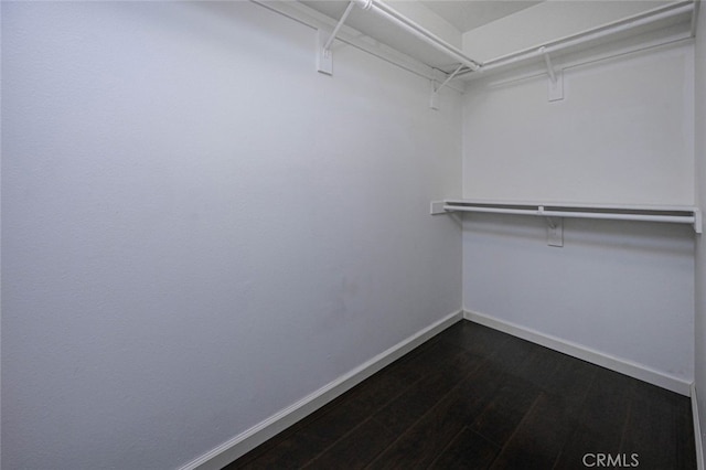 walk in closet featuring dark wood finished floors