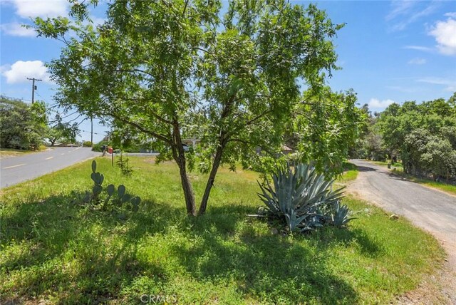 16310 Jacksonville Rd, Jamestown, CA 95327 - photo 22