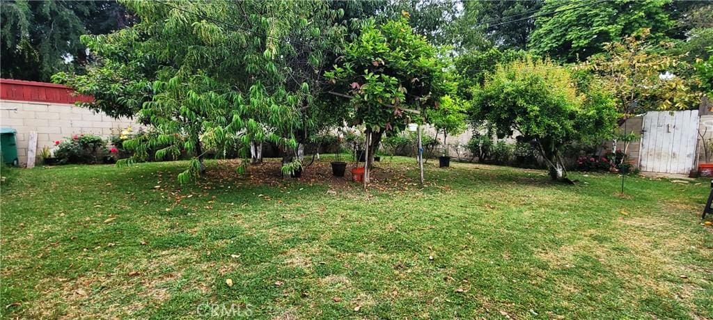 13129 Helmer Dr, Whittier, CA 90602 - view of yard with a storage shed and an outdoor structure